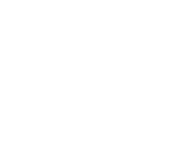 Pyramidions Logo